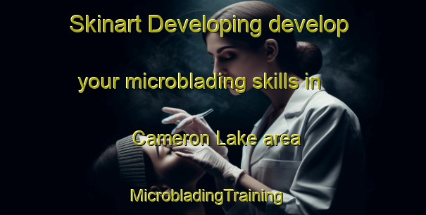 Skinart Developing develop your microblading skills in Cameron Lake area | MicrobladingTraining | MicrobladingClasses | SkinartTraining-Canada