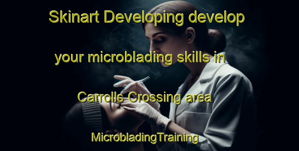 Skinart Developing develop your microblading skills in Carrolls Crossing area | MicrobladingTraining | MicrobladingClasses | SkinartTraining-Canada