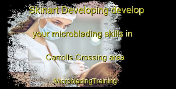 Skinart Developing develop your microblading skills in Carrolls Crossing area | MicrobladingTraining | MicrobladingClasses | SkinartTraining-Canada