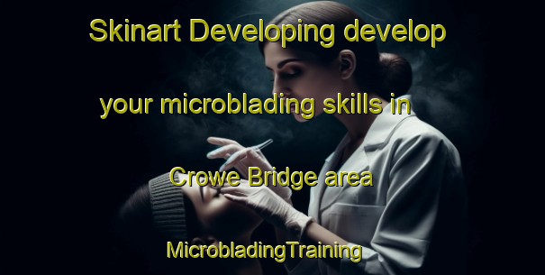 Skinart Developing develop your microblading skills in Crowe Bridge area | MicrobladingTraining | MicrobladingClasses | SkinartTraining-Canada