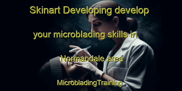 Skinart Developing develop your microblading skills in Normandale area | #MicrobladingTraining #MicrobladingClasses #SkinartTraining-Canada