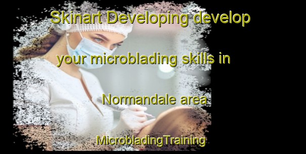 Skinart Developing develop your microblading skills in Normandale area | #MicrobladingTraining #MicrobladingClasses #SkinartTraining-Canada