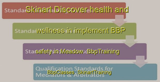 Skinart Discover health and wellness in implement BBP safety in Meadow | BbpTraining | BbpClasses | SkinartTraining-Canada
