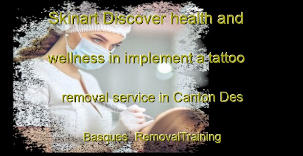 Skinart Discover health and wellness in implement a tattoo removal service in Canton Des Basques | RemovalTraining | RemovalClasses | SkinartTraining-Canada