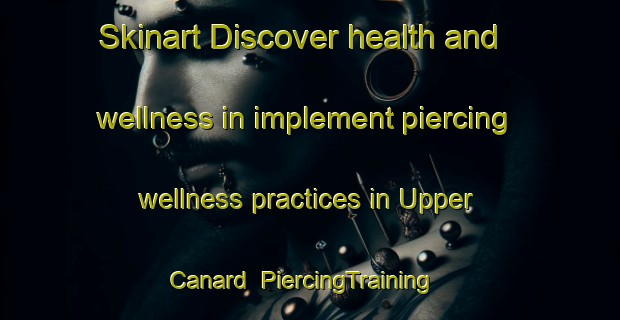 Skinart Discover health and wellness in implement piercing wellness practices in Upper Canard | PiercingTraining | PiercingClasses | SkinartTraining-Canada