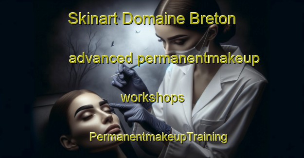 Skinart Domaine Breton advanced permanentmakeup workshops | #PermanentmakeupTraining #PermanentmakeupClasses #SkinartTraining-Canada