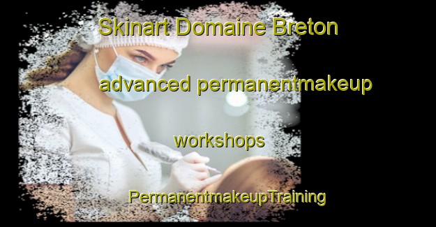 Skinart Domaine Breton advanced permanentmakeup workshops | #PermanentmakeupTraining #PermanentmakeupClasses #SkinartTraining-Canada