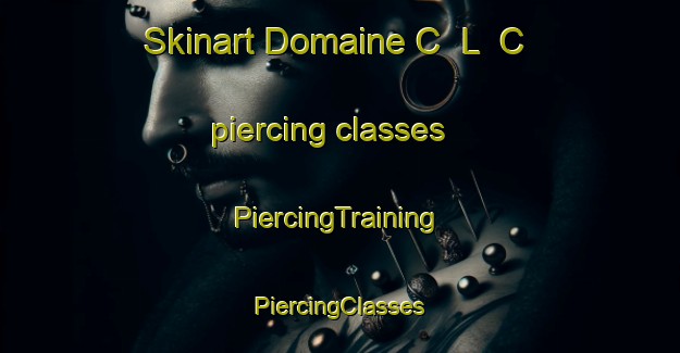 Skinart Domaine C  L  C piercing classes | #PiercingTraining #PiercingClasses #SkinartTraining-Canada