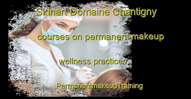 Skinart Domaine Chantigny courses on permanent makeup wellness practices | #PermanentmakeupTraining #PermanentmakeupClasses #SkinartTraining-Canada