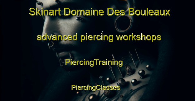 Skinart Domaine Des Bouleaux advanced piercing workshops | PiercingTraining | PiercingClasses | SkinartTraining-Canada