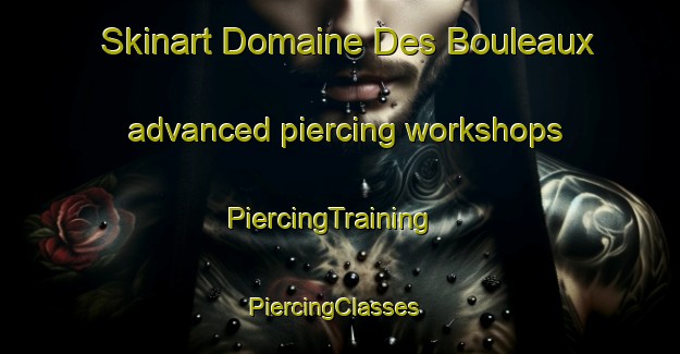 Skinart Domaine Des Bouleaux advanced piercing workshops | PiercingTraining | PiercingClasses | SkinartTraining-Canada