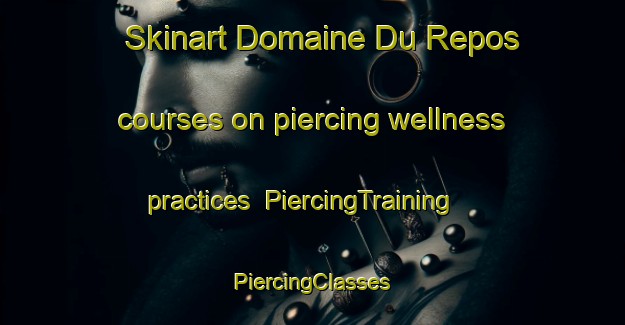 Skinart Domaine Du Repos courses on piercing wellness practices | #PiercingTraining #PiercingClasses #SkinartTraining-Canada