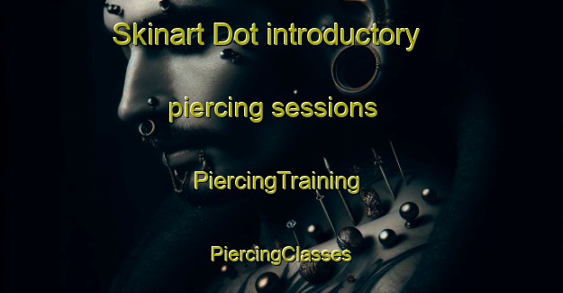 Skinart Dot introductory piercing sessions | #PiercingTraining #PiercingClasses #SkinartTraining-Canada