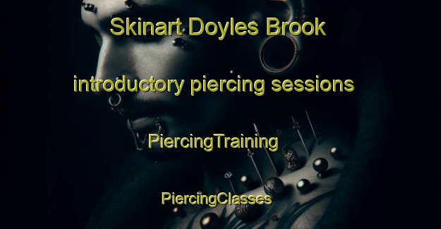 Skinart Doyles Brook introductory piercing sessions | PiercingTraining | PiercingClasses | SkinartTraining-Canada