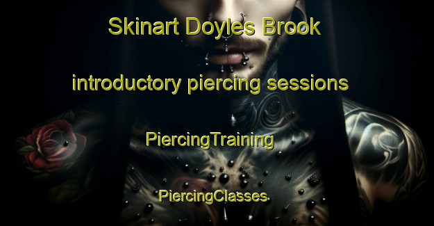 Skinart Doyles Brook introductory piercing sessions | PiercingTraining | PiercingClasses | SkinartTraining-Canada