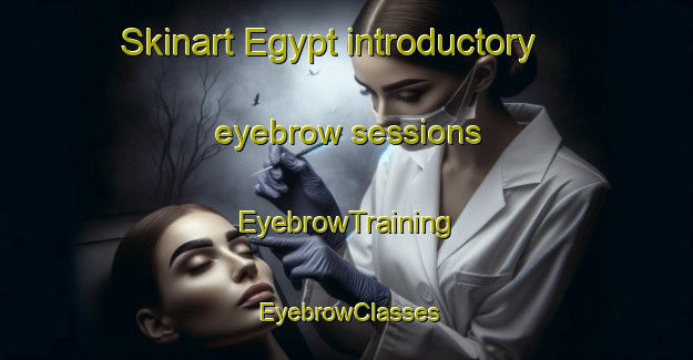 Skinart Egypt introductory eyebrow sessions | EyebrowTraining | EyebrowClasses | SkinartTraining-Canada