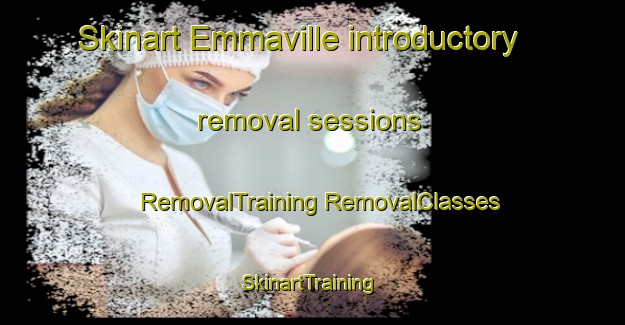 Skinart Emmaville introductory removal sessions | #RemovalTraining #RemovalClasses #SkinartTraining-Canada