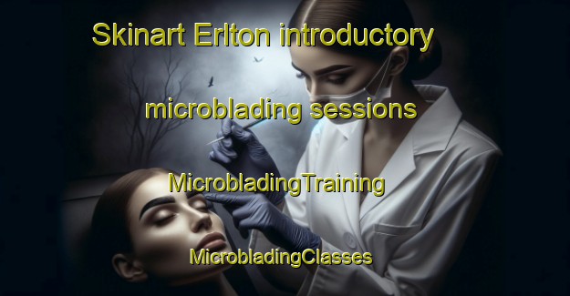 Skinart Erlton introductory microblading sessions | MicrobladingTraining | MicrobladingClasses | SkinartTraining-Canada