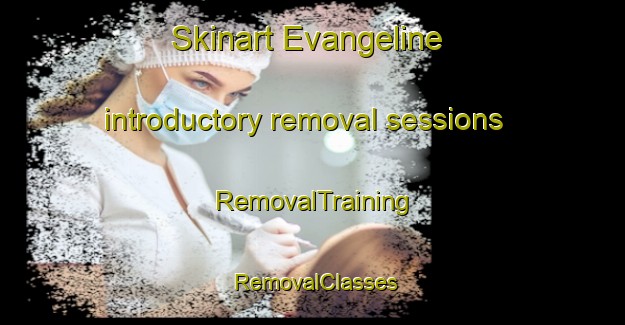 Skinart Evangeline introductory removal sessions | RemovalTraining | RemovalClasses | SkinartTraining-Canada