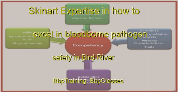 Skinart Expertise in how to excel in bloodborne pathogen safety in Bird River | BbpTraining | BbpClasses | SkinartTraining-Canada