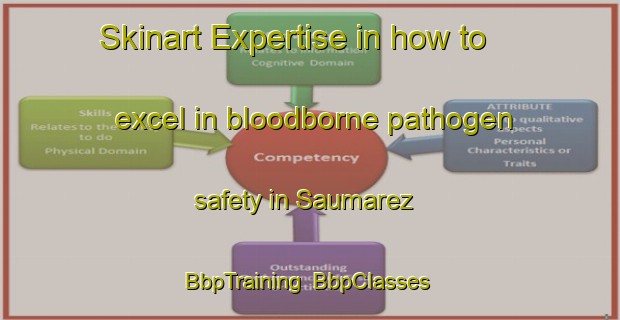 Skinart Expertise in how to excel in bloodborne pathogen safety in Saumarez | BbpTraining | BbpClasses | SkinartTraining-Canada