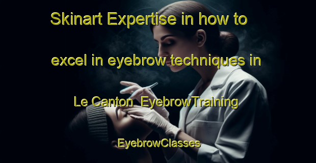 Skinart Expertise in how to excel in eyebrow techniques in Le Canton | EyebrowTraining | EyebrowClasses | SkinartTraining-Canada