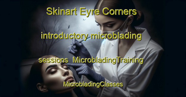 Skinart Eyre Corners introductory microblading sessions | #MicrobladingTraining #MicrobladingClasses #SkinartTraining-Canada