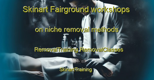 Skinart Fairground workshops on niche removal methods | #RemovalTraining #RemovalClasses #SkinartTraining-Canada