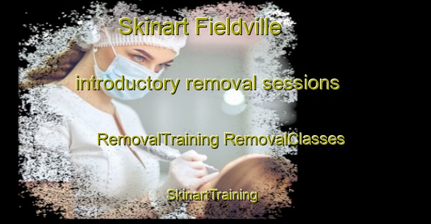 Skinart Fieldville introductory removal sessions | #RemovalTraining #RemovalClasses #SkinartTraining-Canada