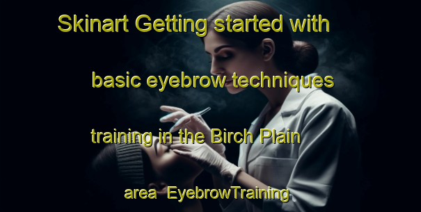 Skinart Getting started with basic eyebrow techniques training in the Birch Plain area | EyebrowTraining | EyebrowClasses | SkinartTraining-Canada