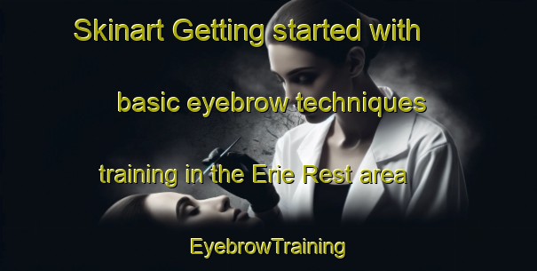 Skinart Getting started with basic eyebrow techniques training in the Erie Rest area | EyebrowTraining | EyebrowClasses | SkinartTraining-Canada
