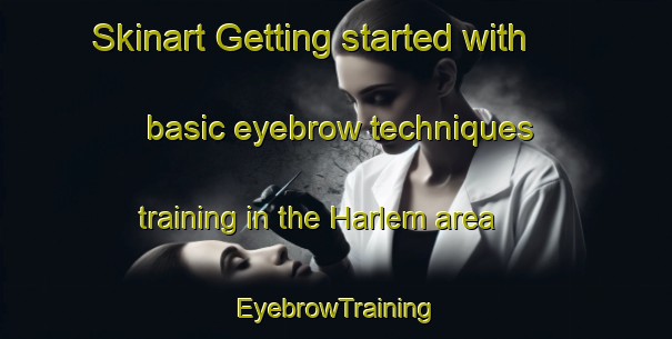 Skinart Getting started with basic eyebrow techniques training in the Harlem area | EyebrowTraining | EyebrowClasses | SkinartTraining-Canada