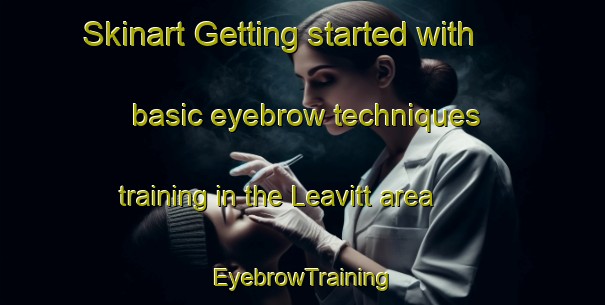Skinart Getting started with basic eyebrow techniques training in the Leavitt area | EyebrowTraining | EyebrowClasses | SkinartTraining-Canada