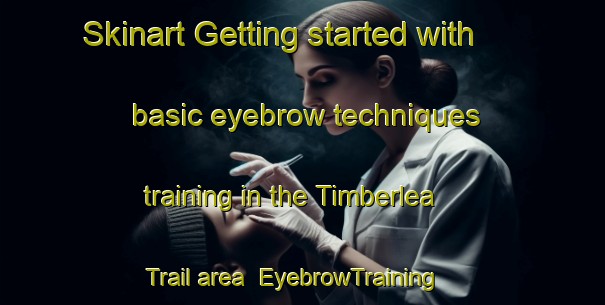 Skinart Getting started with basic eyebrow techniques training in the Timberlea Trail area | EyebrowTraining | EyebrowClasses | SkinartTraining-Canada