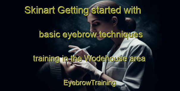 Skinart Getting started with basic eyebrow techniques training in the Wodehouse area | EyebrowTraining | EyebrowClasses | SkinartTraining-Canada