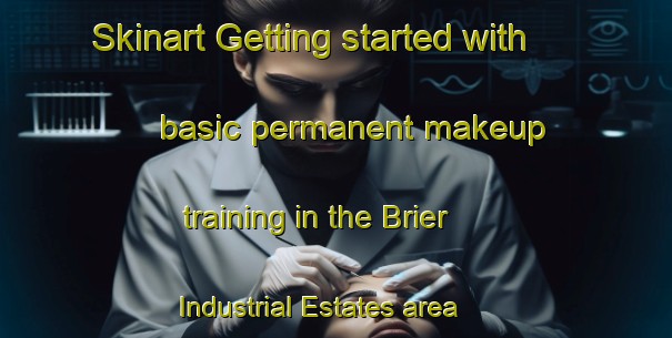 Skinart Getting started with basic permanent makeup training in the Brier Industrial Estates area | PermanentmakeupTraining | PermanentmakeupClasses | SkinartTraining-Canada