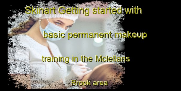 Skinart Getting started with basic permanent makeup training in the Mclellans Brook area | PermanentmakeupTraining | PermanentmakeupClasses | SkinartTraining-Canada