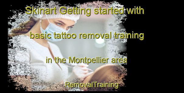 Skinart Getting started with basic tattoo removal training in the Montpellier area | RemovalTraining | RemovalClasses | SkinartTraining-Canada