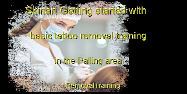 Skinart Getting started with basic tattoo removal training in the Palling area | RemovalTraining | RemovalClasses | SkinartTraining-Canada