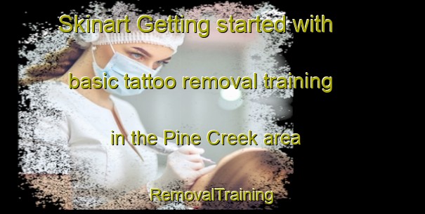 Skinart Getting started with basic tattoo removal training in the Pine Creek area | RemovalTraining | RemovalClasses | SkinartTraining-Canada