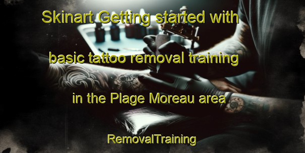 Skinart Getting started with basic tattoo removal training in the Plage Moreau area | RemovalTraining | RemovalClasses | SkinartTraining-Canada