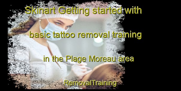 Skinart Getting started with basic tattoo removal training in the Plage Moreau area | RemovalTraining | RemovalClasses | SkinartTraining-Canada