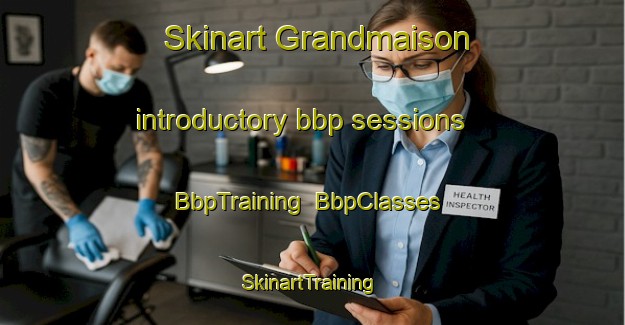Skinart Grandmaison introductory bbp sessions | BbpTraining | BbpClasses | SkinartTraining-Canada