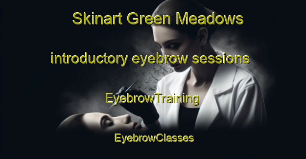 Skinart Green Meadows introductory eyebrow sessions | EyebrowTraining | EyebrowClasses | SkinartTraining-Canada