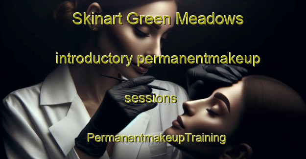 Skinart Green Meadows introductory permanentmakeup sessions | PermanentmakeupTraining | PermanentmakeupClasses | SkinartTraining-Canada