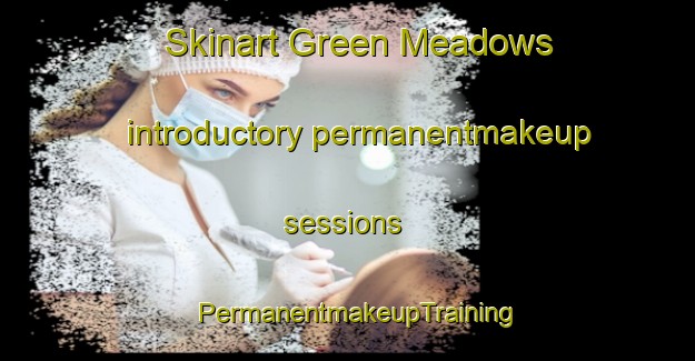 Skinart Green Meadows introductory permanentmakeup sessions | PermanentmakeupTraining | PermanentmakeupClasses | SkinartTraining-Canada