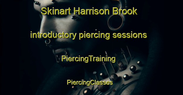 Skinart Harrison Brook introductory piercing sessions | PiercingTraining | PiercingClasses | SkinartTraining-Canada
