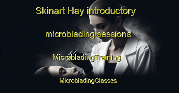 Skinart Hay introductory microblading sessions | MicrobladingTraining | MicrobladingClasses | SkinartTraining-Canada