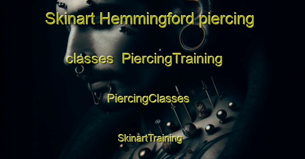 Skinart Hemmingford piercing classes | PiercingTraining | PiercingClasses | SkinartTraining-Canada