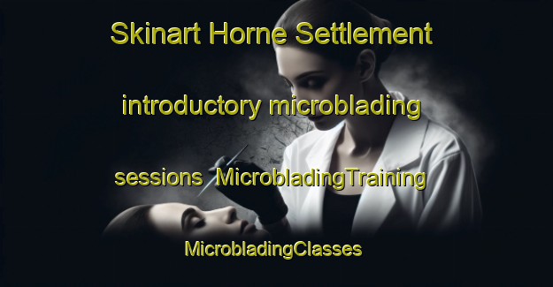 Skinart Horne Settlement introductory microblading sessions | MicrobladingTraining | MicrobladingClasses | SkinartTraining-Canada